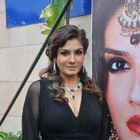 Raveena Tandon Hot at Art Jewellery Event Pictures | Picture 234063