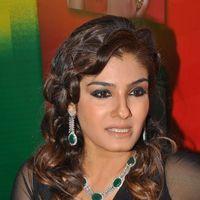 Raveena Tandon Hot at Art Jewellery Event Pictures | Picture 234074
