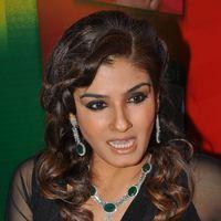 Raveena Tandon Hot at Art Jewellery Event Pictures | Picture 234082