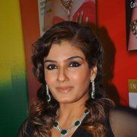 Raveena Tandon Hot at Art Jewellery Event Pictures | Picture 234088