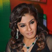 Raveena Tandon Hot at Art Jewellery Event Pictures | Picture 234093