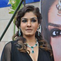 Raveena Tandon Hot at Art Jewellery Event Pictures | Picture 234115
