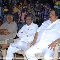 Kallu Movie 25 years Celebrations Pictures | Picture 234610