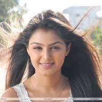 Monal Gajjar - Sudigadu Hot Stills | Picture 235395