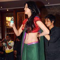 Sherlyn Chopra Hot in Saree Stills | Picture 235912