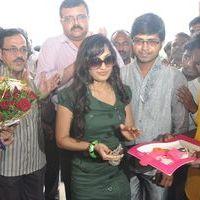 Actress Madhavi latha Inaugurates Sleep Well World Store Pictures | Picture 237846