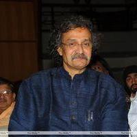 Life is Beautiful Audio Release Pictures | Picture 238089