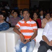 Life is Beautiful Audio Release Pictures | Picture 238091