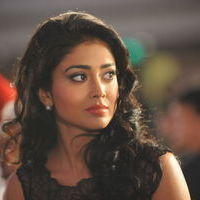 Shriya Saran - Life is Beautiful Audio Release Pictures | Picture 238249