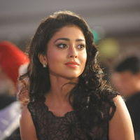 Shriya Saran - Life is Beautiful Audio Release Pictures | Picture 238328