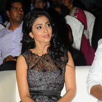 Shriya Saran - Life is Beautiful Audio Release Pictures | Picture 238330