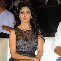 Shriya Saran - Life is Beautiful Audio Release Pictures | Picture 238342