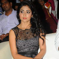 Shriya Saran - Life is Beautiful Audio Release Pictures | Picture 238367