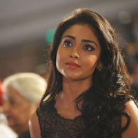 Shriya Saran - Life is Beautiful Audio Release Pictures | Picture 238375
