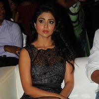 Shriya Saran - Life is Beautiful Audio Release Pictures | Picture 238380