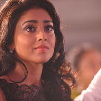 Shriya Saran - Life is Beautiful Audio Release Pictures | Picture 238389