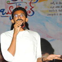 Sekhar Kammula - Life is Beautiful Audio Release Pictures | Picture 238390