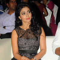 Shriya Saran - Life is Beautiful Audio Release Pictures | Picture 238399