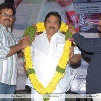 Oka College Love Story Audio Launch Pictures | Picture 238207