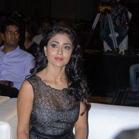 Shriya Saran at Life is Beautiful Audio Launch Pictures | Picture 238083