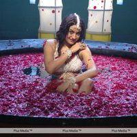 Sonia Agarwal Hot in Kathanayaki Movie Stills | Picture 239498