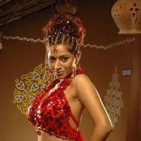 Ridhiema Tiwari - Hai Haiga Hot Stills | Picture 241893