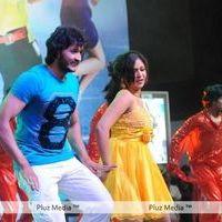 Julayi Audio Release Pictures | Picture 209046