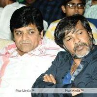 Julayi Audio Release Pictures | Picture 209055
