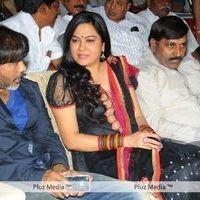Julayi Audio Release Pictures | Picture 209057
