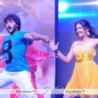 Julayi Audio Release Pictures | Picture 209077