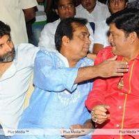 Julayi Audio Release Pictures | Picture 209182