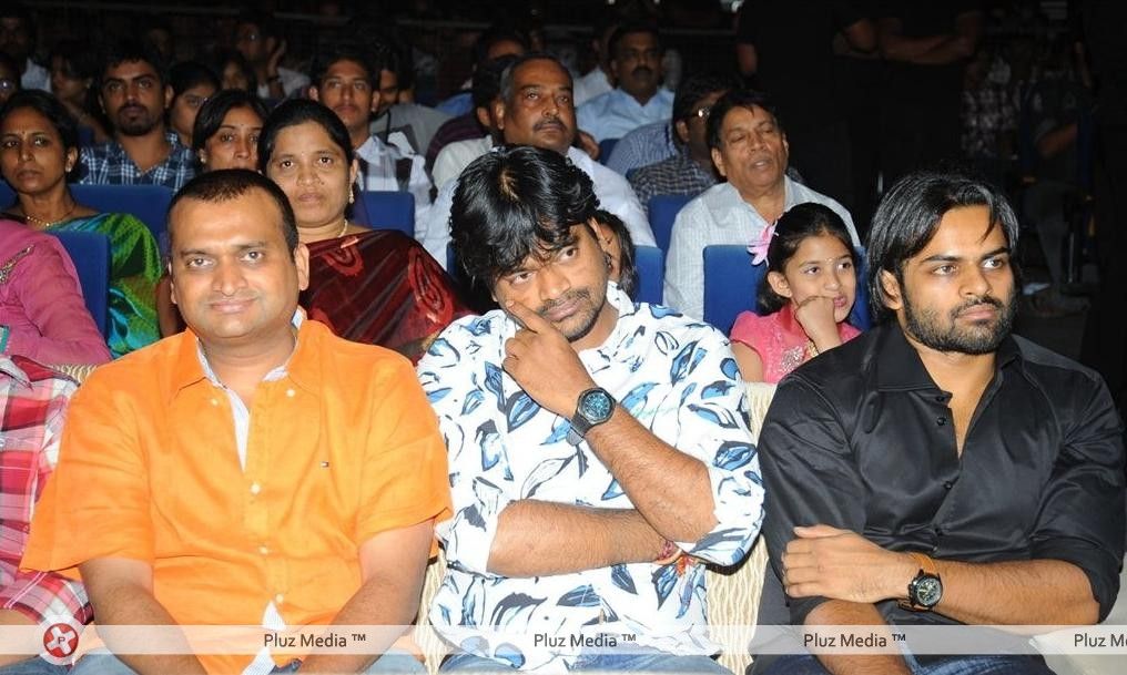 Julayi Audio Release Pictures | Picture 209219