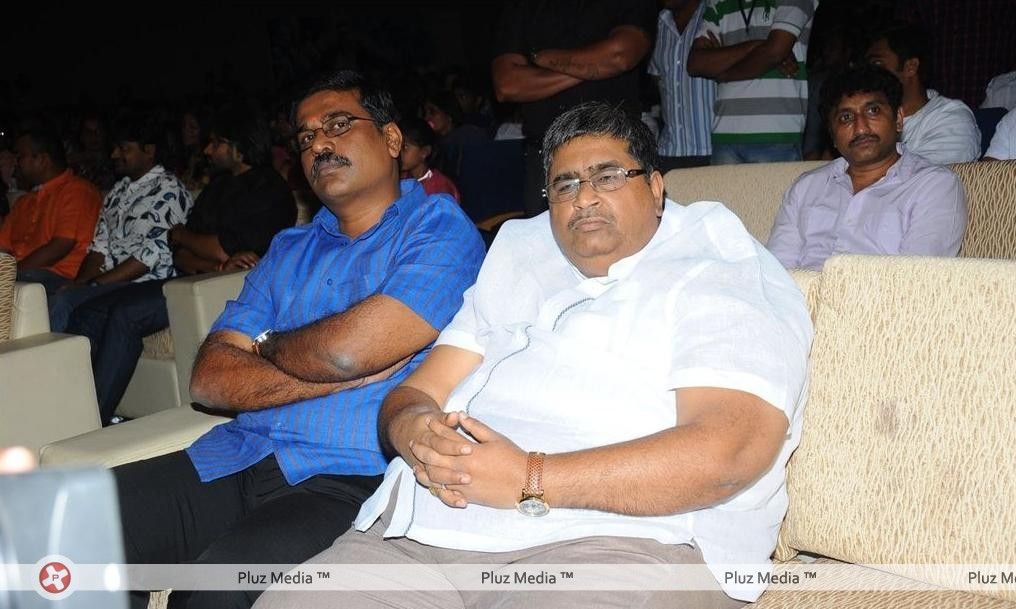 Julayi Audio Release Pictures | Picture 209242