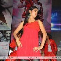 Julayi Audio Release Pictures | Picture 209225