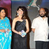 Julayi Audio Release Pictures | Picture 209230