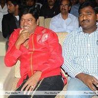 Julayi Audio Release Pictures | Picture 209234