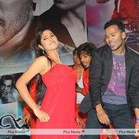 Julayi Audio Release Pictures | Picture 209246