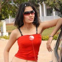 Actress Thamkshi New Stills | Picture 213169