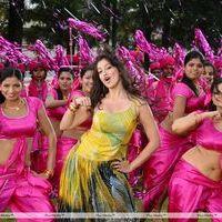 Lakshmi Rai Hot In Adhinayakudu Stills | Picture 215970