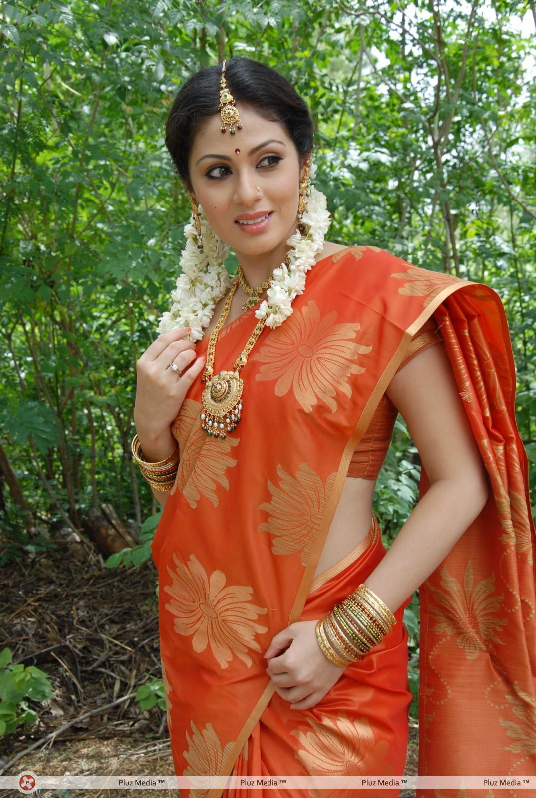 Sada in Saree at Mythri Press Meet - Pictures | Picture 216121