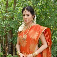 Sada in Saree at Mythri Press Meet - Pictures | Picture 216018