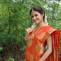 Sada in Saree at Mythri Press Meet - Pictures | Picture 216020
