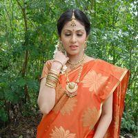 Sada in Saree at Mythri Press Meet - Pictures | Picture 216071