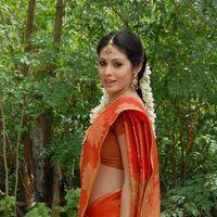 Sada in Saree at Mythri Press Meet - Pictures | Picture 216089