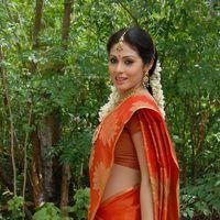 Sada in Saree at Mythri Press Meet - Pictures | Picture 216091