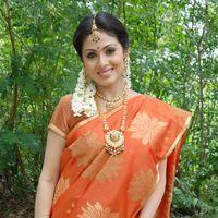 Sada in Saree at Mythri Press Meet - Pictures | Picture 216116
