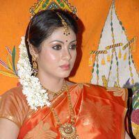 Sada in Saree at Mythri Press Meet - Pictures | Picture 216119