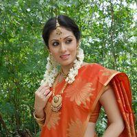 Sada in Saree at Mythri Press Meet - Pictures | Picture 216121