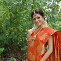 Sada in Saree at Mythri Press Meet - Pictures | Picture 216127