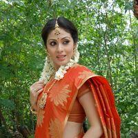Sada in Saree at Mythri Press Meet - Pictures | Picture 216129
